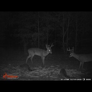 Meet your Posher, Craig